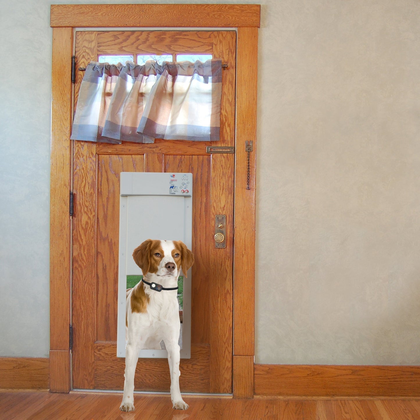 2025 Power Pet Large Electronic Pet Door PX-2